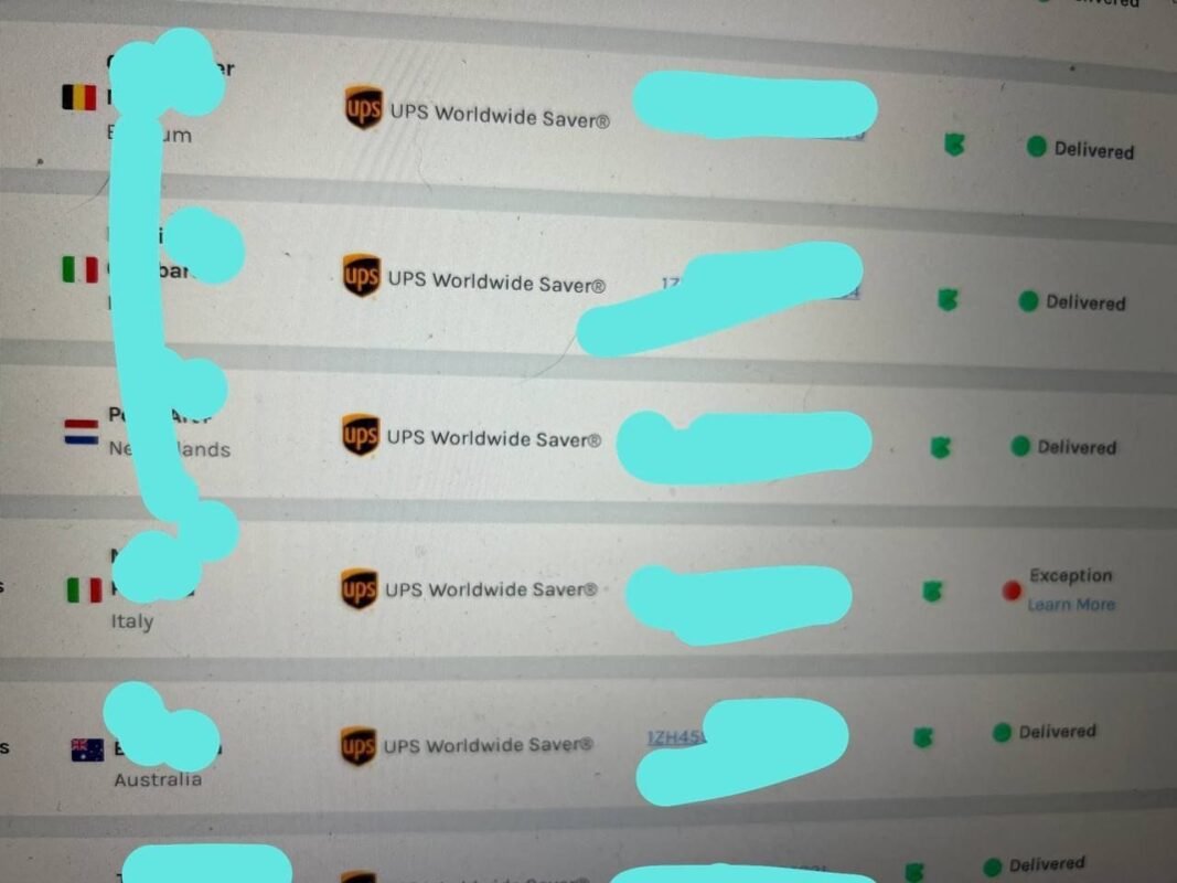 wizard trees reviews